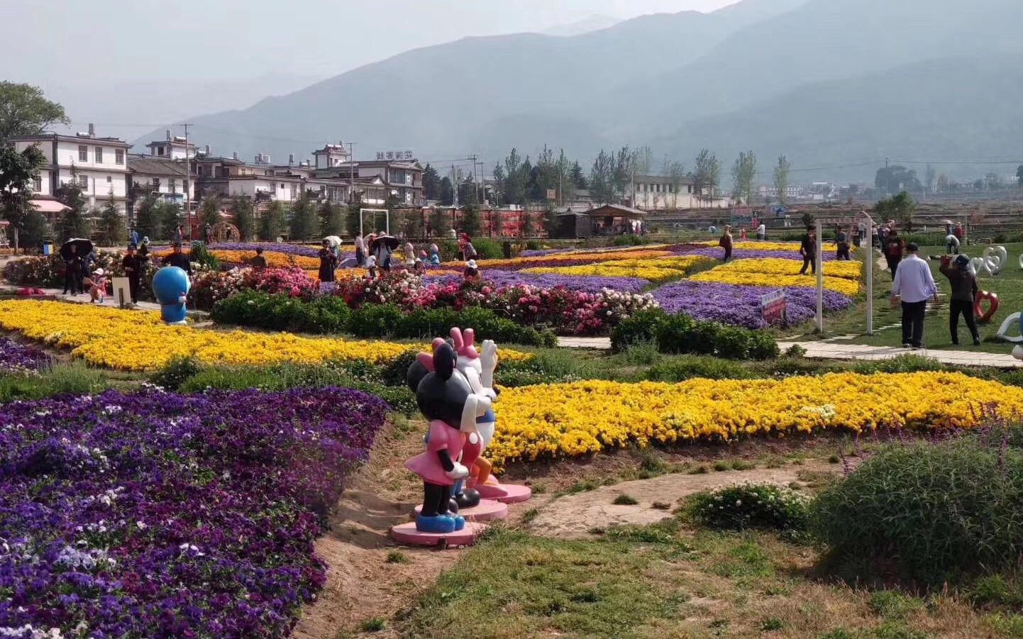 仁里邑花语牧场暨云南农科院试验田